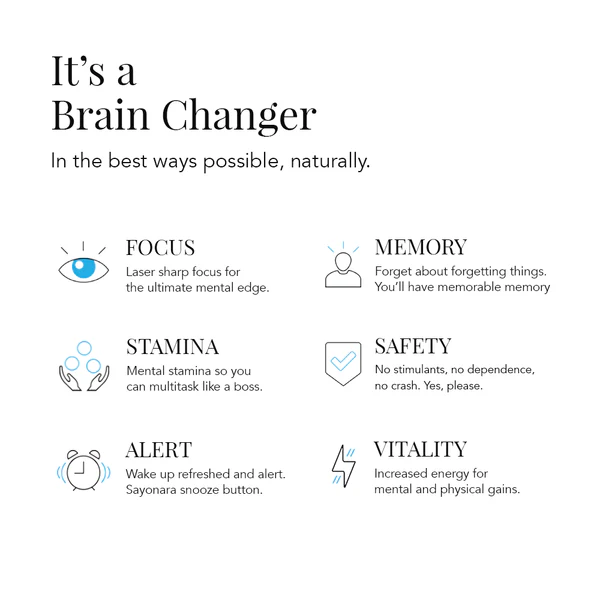 MONTHLY FOCUS - Image 3